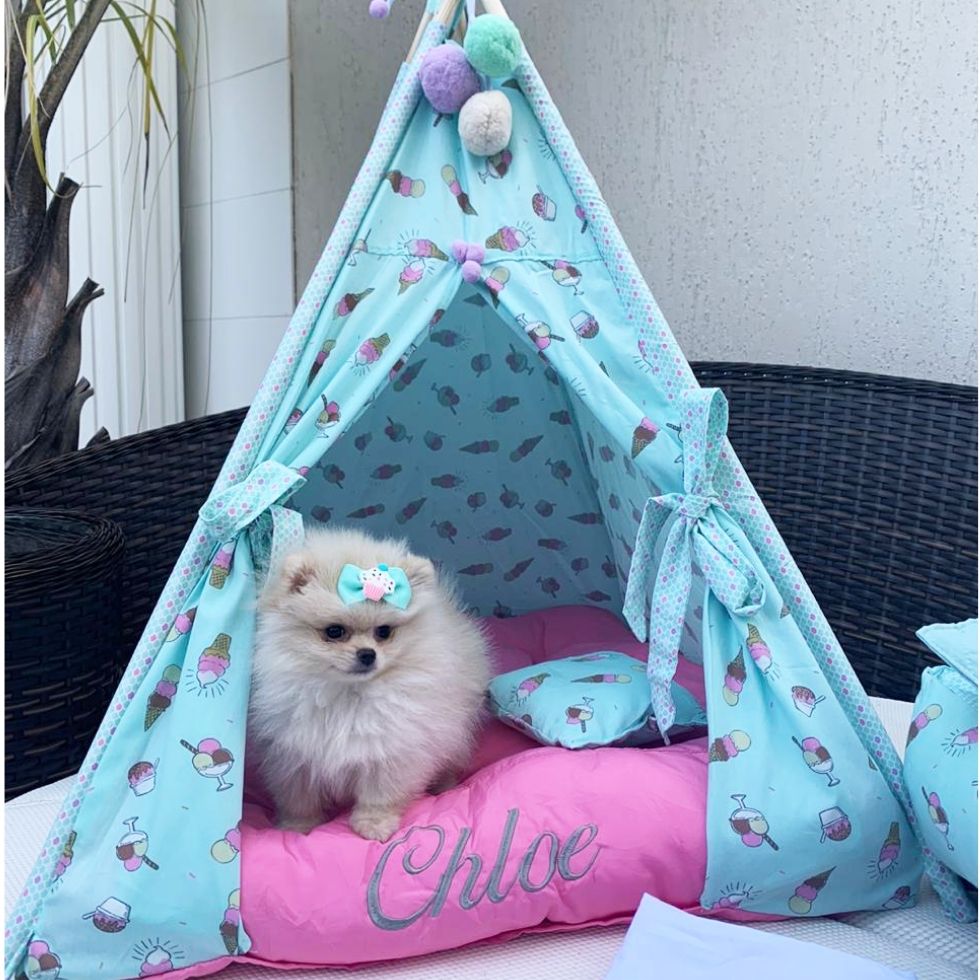 Tenda para Cachorro Mr. Puppy